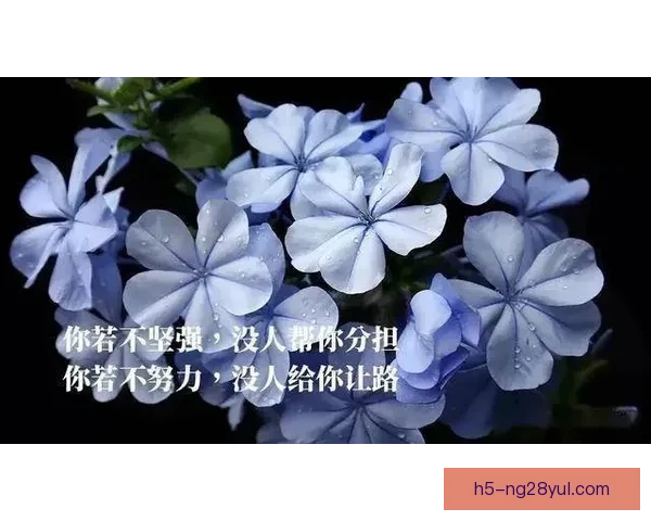 本可赢下比赛仍需前行调整心态